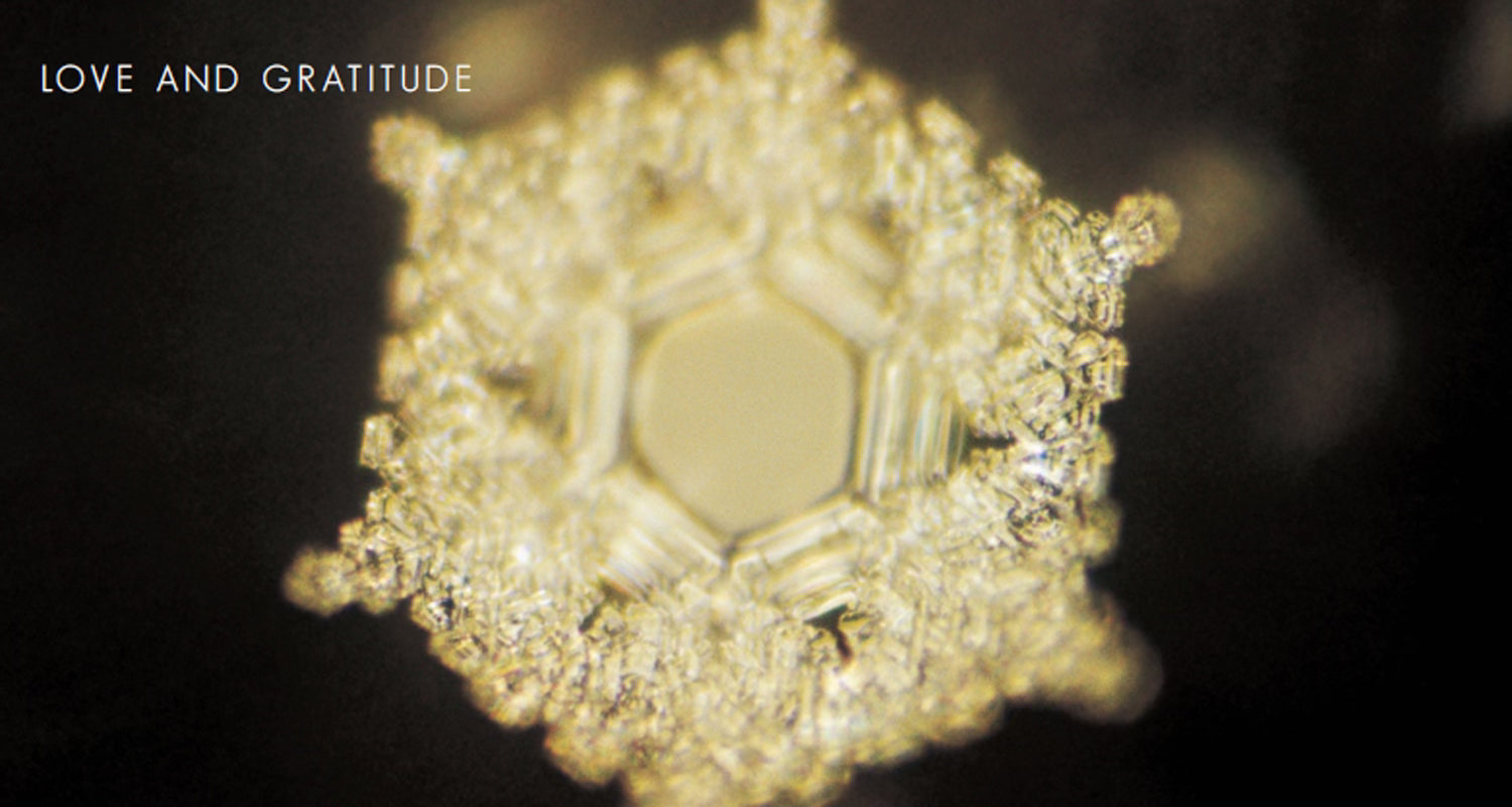 Love & Gratitude | Can-Shaped Glass - MichaelVargas.Art